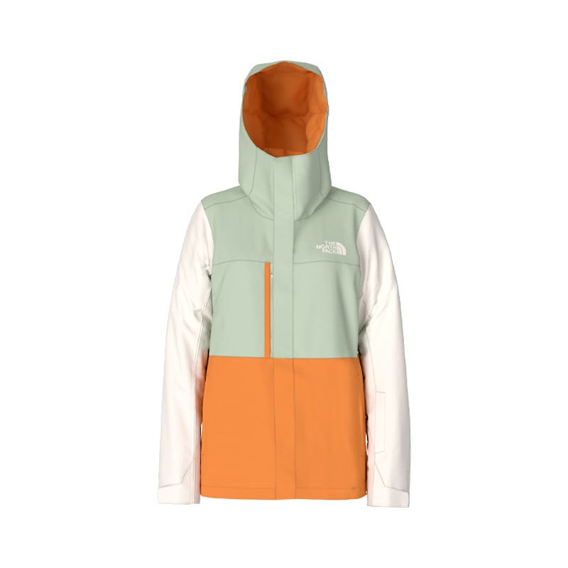 The North Face Freedom Insulated Snow Jacket - Women`s